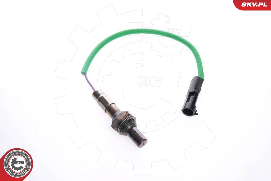 Oxygen Sensor